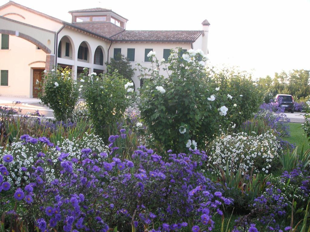 Agriturismo Due Torri モンテベッルーナ エクステリア 写真