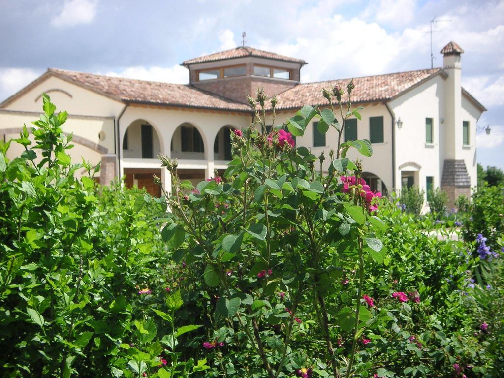 Agriturismo Due Torri モンテベッルーナ エクステリア 写真